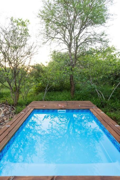 Apartamento Wildheart Safari - Zesty Zebra Hoedspruit Exterior foto